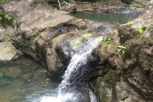 Soufriere Volcano Experience - River Pool Waterfall: The Short Hike That Breaks Up the Long Ride