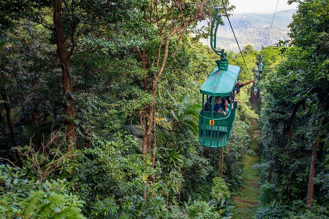 St. Lucia Aerial Tram Tour at Rainforest Adventures - Key highlights to look for