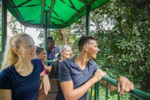 St. Lucia Aerial Tram Tour at Rainforest Adventures - Fern Trail Optional Stop: Up Close With the Plants
