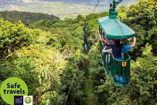 St. Lucia Aerial Tram Tour at Rainforest Adventures - Wildlife Spotting Reality Check: Jacquot Parrots, Agoutis, and Birds