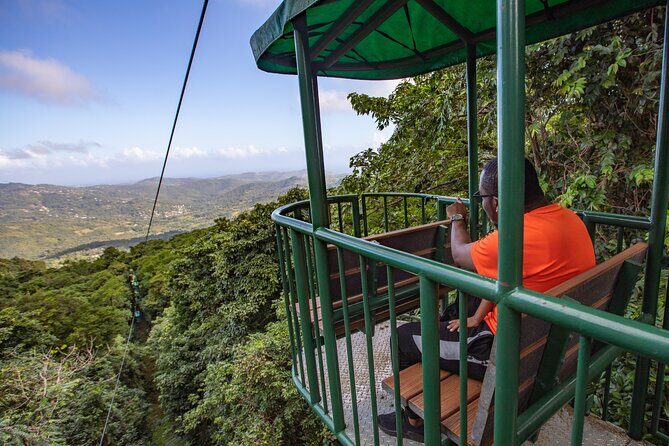 St. Lucia Aerial Tram Tour at Rainforest Adventures - Price, Group Size, and When Extra Costs Pop Up