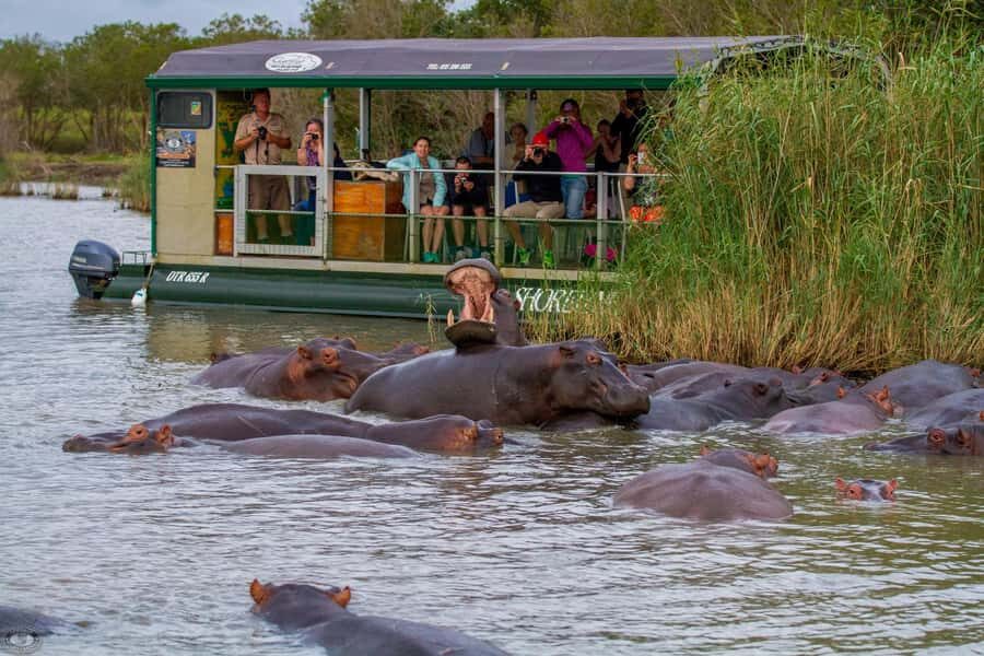 St Lucia: Hippo and Crocodile Cruise on a 15-Seat Vessel - Key highlights I’d plan around