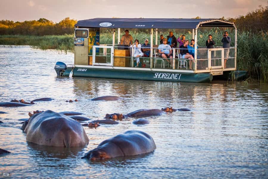 St Lucia: Hippo and Crocodile Cruise on a 15-Seat Vessel - Why Lake St Lucia is a Hippo Magnet (and what you’ll actually see)