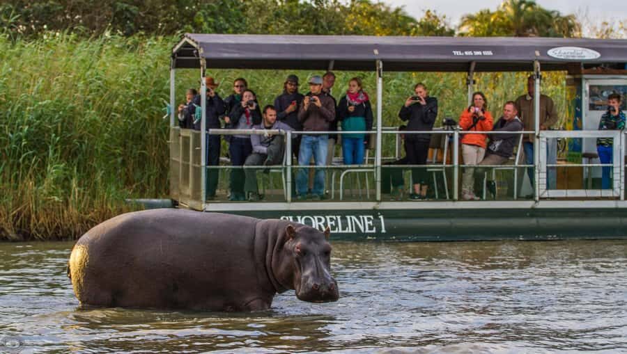 St Lucia: Hippo and Crocodile Cruise on a 15-Seat Vessel - The 15-seat boat reality: sightlines, comfort, and photo strategy