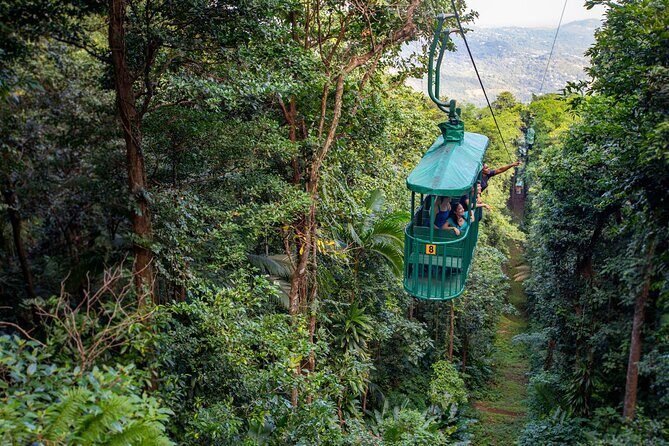 St. Lucia Zip line, Aerial Tram and Hiking tour Ultimate 3 - Quick hits before you go