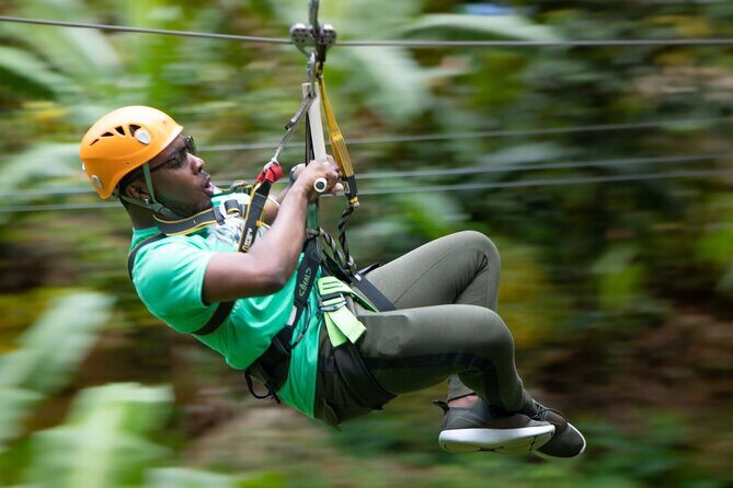 St. Lucia Zip line, Aerial Tram and Hiking tour Ultimate 3 - The aerial tram: slow gondola calm with real rainforest views