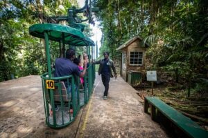 St. Lucia Zip line, Aerial Tram and Hiking tour Ultimate 3 - Gear up and train first: making your zipline feel manageable