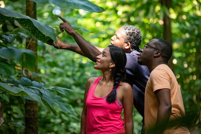 St. Lucia Zip line, Aerial Tram and Hiking tour Ultimate 3 - The canopy zip course: 8 lines, 16 platforms, big sky feeling