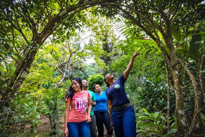 St. Lucia Zip line, Aerial Tram and Hiking tour Ultimate 3 - Price and value: is $95 worth it for Ultimate 3?
