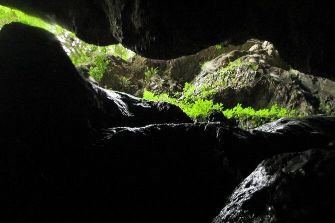 Standard Canyoning Trip in The Crags, South Africa - Photos, Hot Shower, and What to Budget Beyond the $60.68