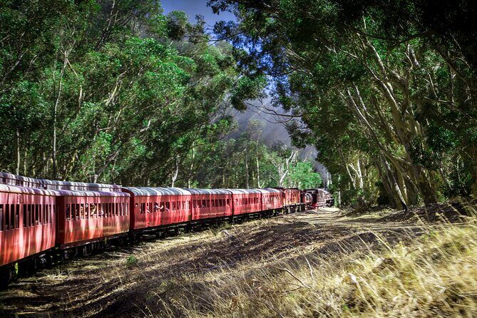 Steam Train to Elgin Railway Market - Who should book this steam train day trip (and who might want a backup plan)