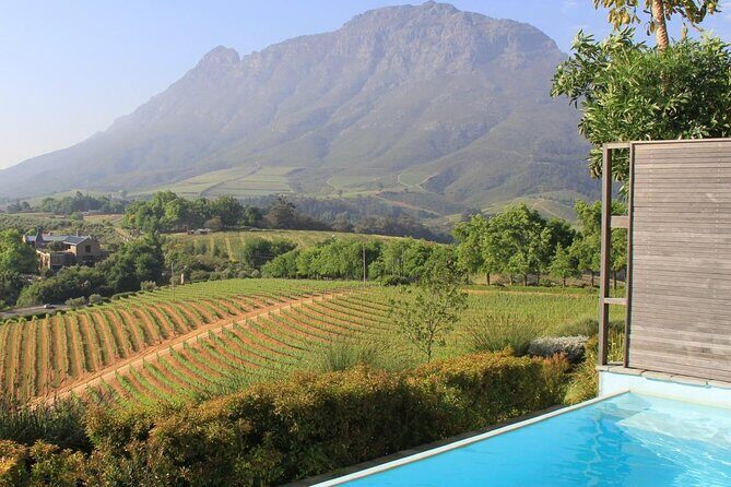 Stellenbosch & Franschhoek 20 Wine Tasting + Lunch Shared Tour - A Cape Winelands day built around tastings and towns