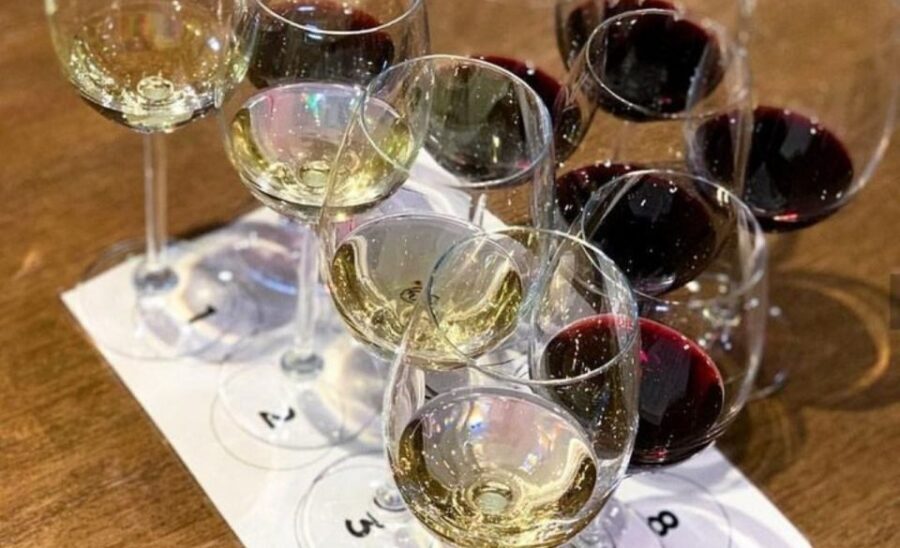 Stellenbosch: Half-Day Wine Tour - What the schedule really means for your group