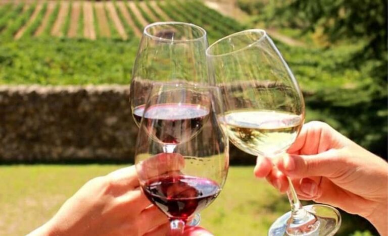 Stellenbosch: Half-Day Wine Tour - First vineyard stop: barrel-shaped pods and a cellar visit