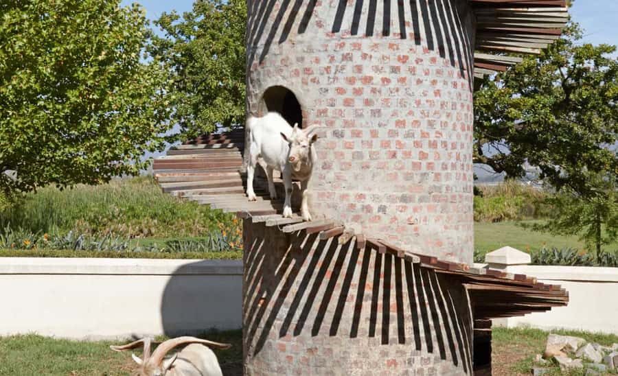 Stellenbosch: Half-Day Wine Tour - Optional Tanzanite and Diamond Tour: a late-day add-on with a Cape twist