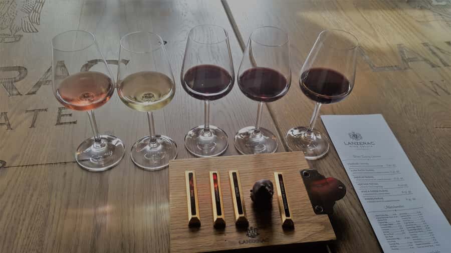 Stellenbosch: Historical Bike Tour & Wine Tasting - Wine Estate Stop 2: Cape Dutch grounds, private cellar tour, then pairing