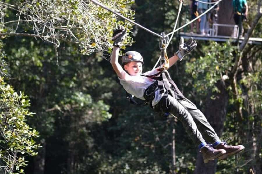 Storms River: Tsitsikamma National Park Zipline Canopy Tour - Key things to know before you fly