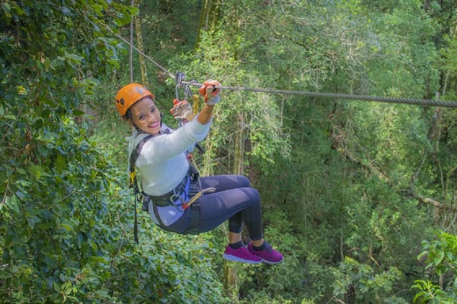 Storms River: Tsitsikamma National Park Zipline Canopy Tour - Tsitsikamma Canopy Ziplines in the Eastern Cape: what makes it worth it
