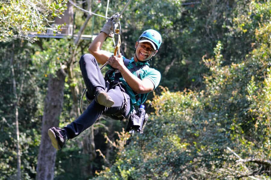 Storms River: Tsitsikamma National Park Zipline Canopy Tour - The 150 minutes: step-by-step flow of your zipline adventure
