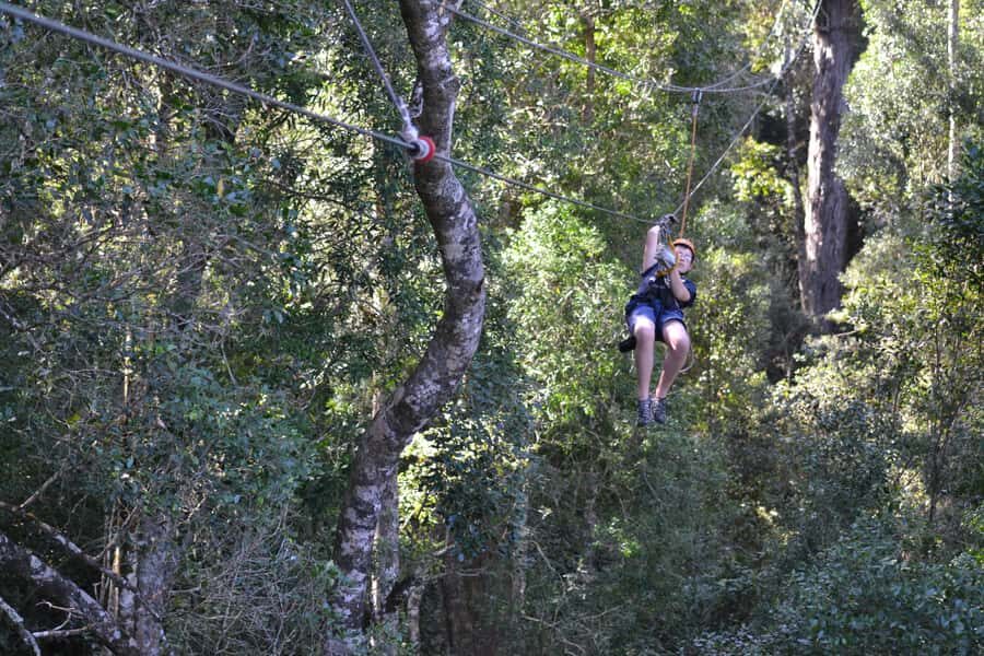 Storms River: Tsitsikamma National Park Zipline Canopy Tour - Who this tour suits best, and who should skip it
