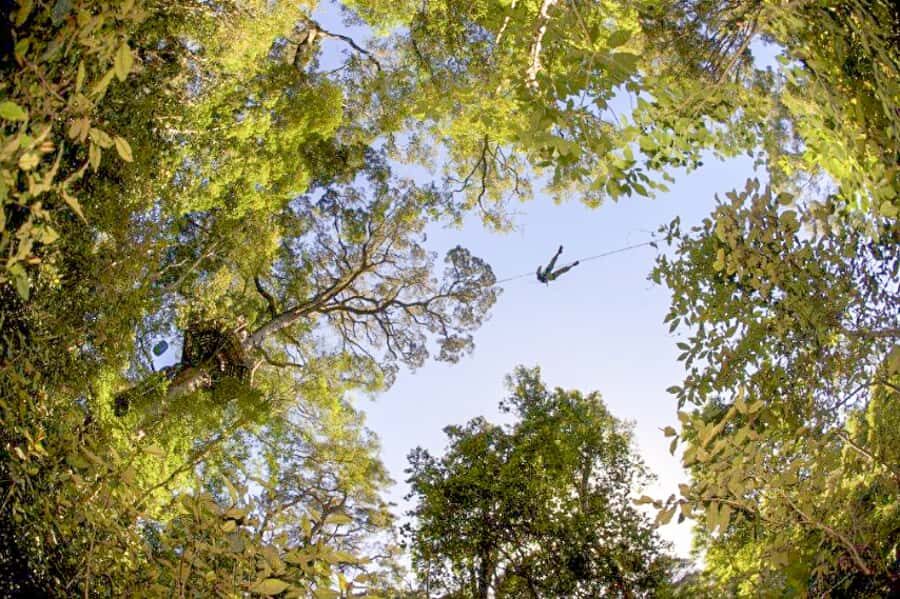 Storms River: Tsitsikamma National Park Zipline Canopy Tour - Should you book the Storms River Tsitsikamma Zipline Canopy Tour?