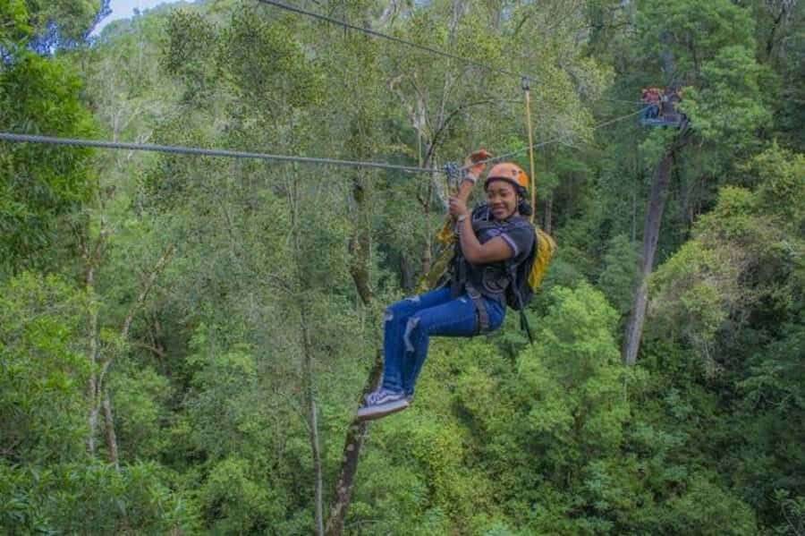 Storms River: Tsitsikamma National Park Zipline Canopy Tour - FAQ