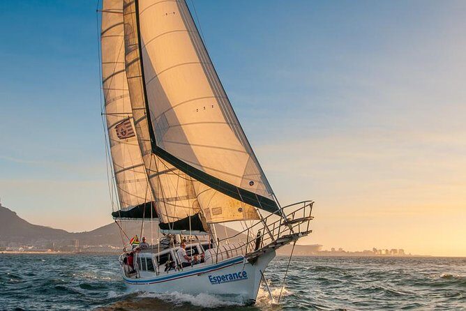 Sunset Champagne Cruise from Cape Town - Should You Book This Sunset Champagne Cruise?