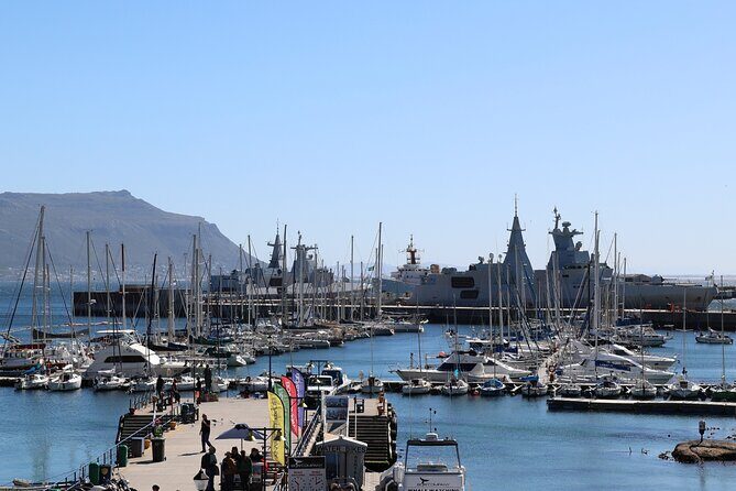 Supersaver: Cape of Good Hope and Cape Point Day Tour from Cape Town - Hout Bay Harbour And Duiker Island Seals: Choose Your Flavor
