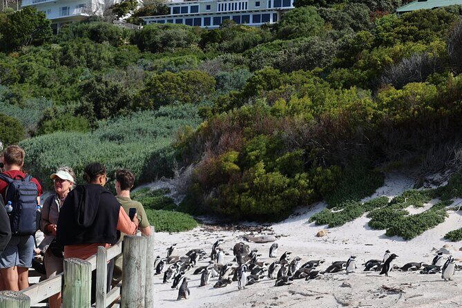 Supersaver: Cape of Good Hope and Cape Point Day Tour from Cape Town - Chapman’s Peak Drive: The Coastal Road That Does the Talking