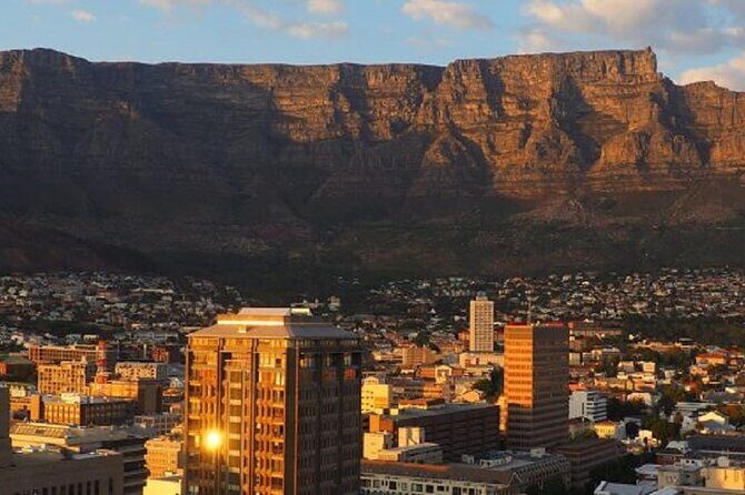 Table Mountain and Cape Town City Half-Day Trip - Table Mountain cable car: the main event and the one catch