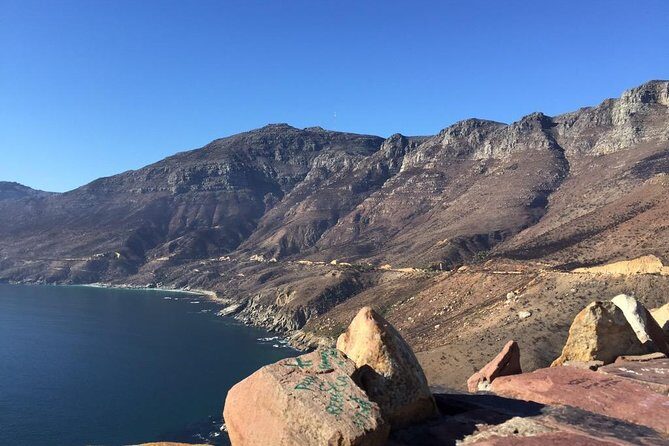 Table Mountain, Boulders Penguins & Cape point Private Day Tour - Cape Point: Ostrich Encounters and the Rules for Baboons