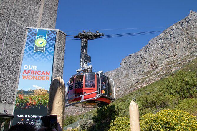 Table Mountain, Boulder's Penguins & Cape Point Private Tour from Cape Town - How the 8-Hour Peninsula Day Fits Together (and Why It Works)