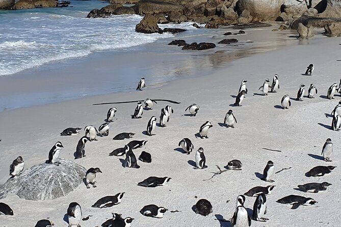 Table Mountain,Cape Point & Penguins Shared Tour, From Cape Town - Cape of Good Hope: the name myth and the photo sign moment