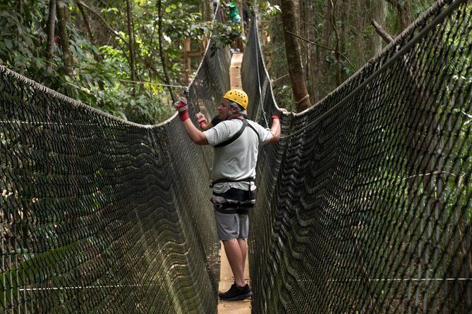 Treetop Adventure Park Canopy Tour - Key highlights to know before you go