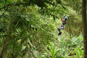 Treetop Adventure Park Canopy Tour - Gear-up and safety briefing: where “scary” turns into “fun”