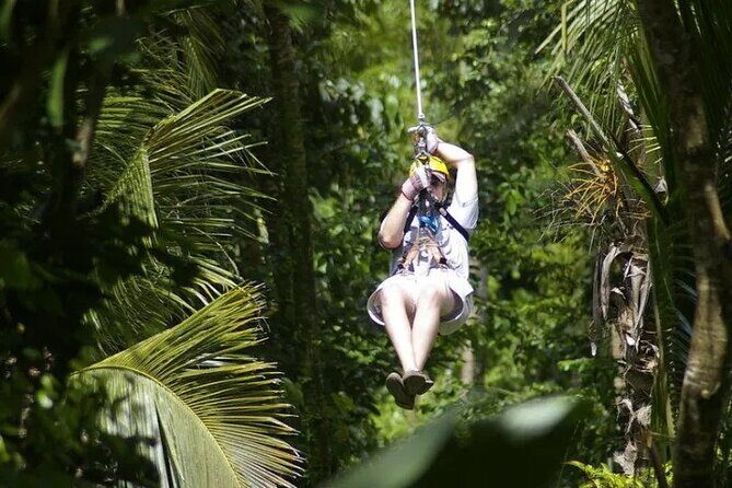 Treetop Adventure Park Canopy Tour - Timing on the day: what the 4 hours really means