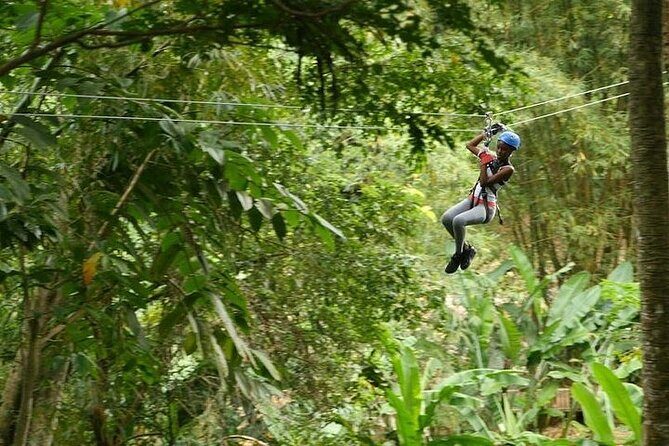 Treetop Adventure Park Canopy Tour - Gear-up and safety briefing: where “scary” turns into “fun”