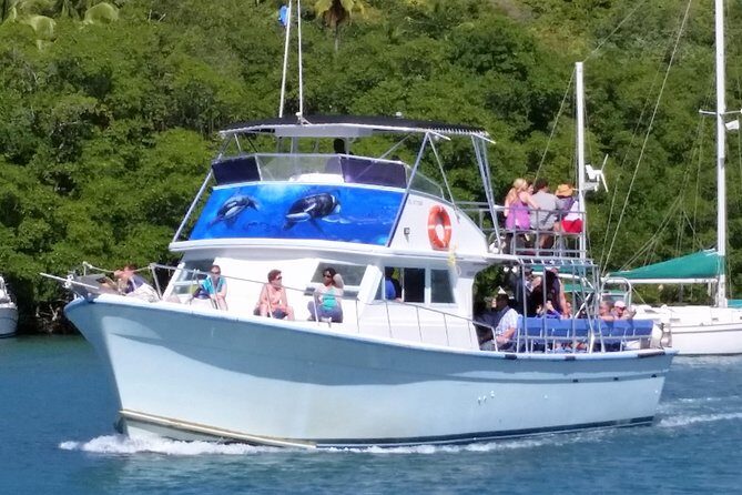 Whale and Dolphin Watching Cruise in St Lucia - Where the cruise starts in Castries (and what that means)