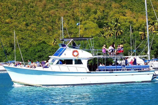 Whale and Dolphin Watching Cruise in St Lucia - When you see whales: what the best sightings tend to have in common
