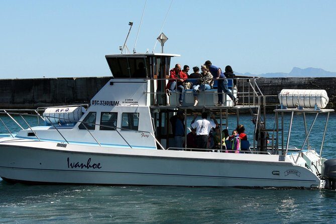 Whale Watching from Gansbaai - Timing Matters: When to Go for Easier Spotting and Better Light