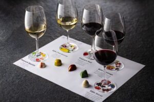 Wine Tour: Paarl, Franschhoek & Stellenbosch incl 3 wineries - Coach, timing, and what the day feels like (8 hours can mean “a lot”)