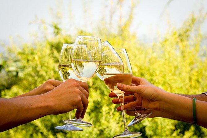 Wine Tour: Paarl, Franschhoek & Stellenbosch incl 3 wineries - Stellenbosch cellar tour and cheese pairing: your first taste of the Cape Winelands rhythm
