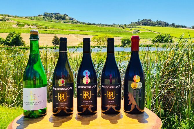 Wine Tour: Paarl, Franschhoek & Stellenbosch incl 3 wineries - Stellenbosch on foot: City of Oaks streets and Cape Dutch architecture