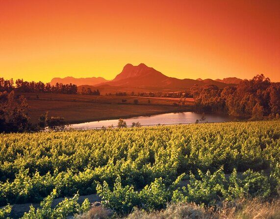 Wine Tour: Paarl, Franschhoek & Stellenbosch incl 3 wineries - Franschhoek wine tasting during lunch: valley views plus an Urban Wine vibe