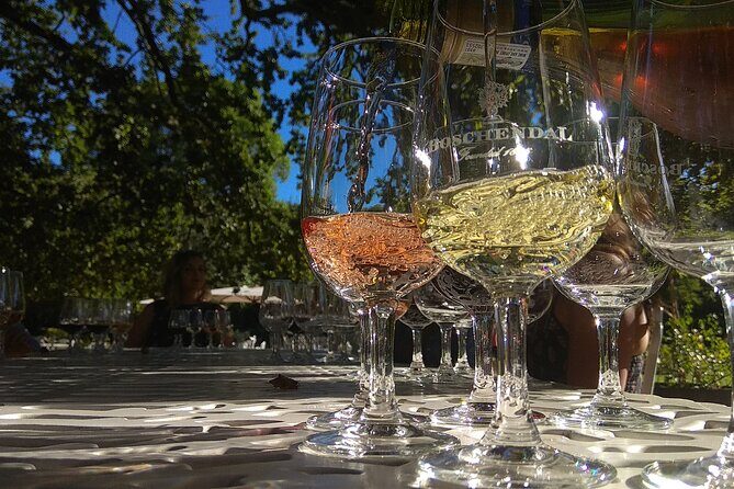 Wine Tour to Stellenbosch & Franschhoek with Tastings & Lunch - Key things to know before you go