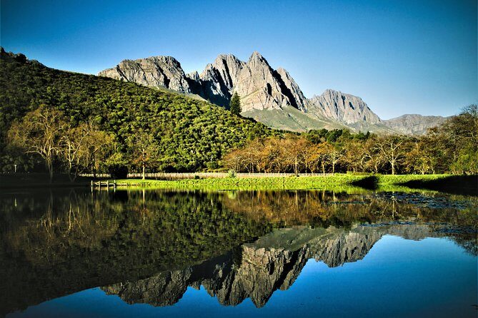 Wine Tour to Stellenbosch & Franschhoek with Tastings & Lunch - Price value check: is $101.80 a fair deal?