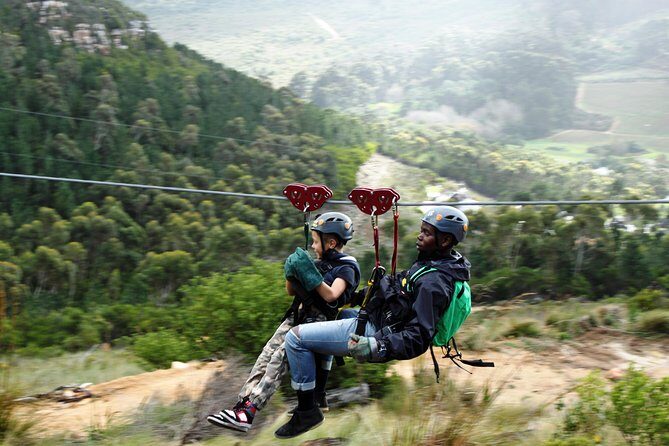 Zipline Cape Town - From Foot of Table Mountain Reserve - Quick takes before you book